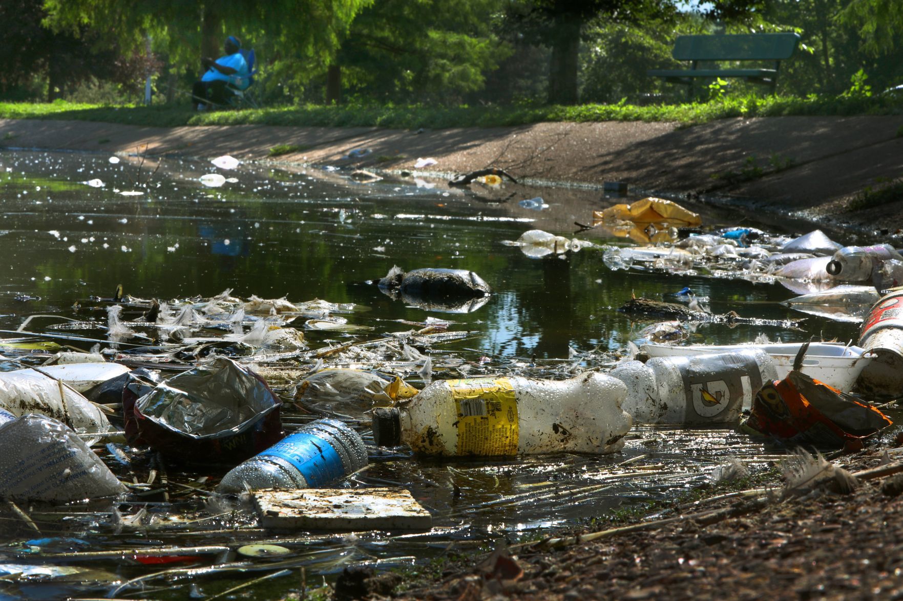 Alderman calls for more O'Fallon Park rangers, park cleanup